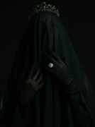 Divorced But Queen by Diane Roswell