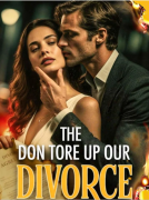 The Don Tore Up Our Divorce